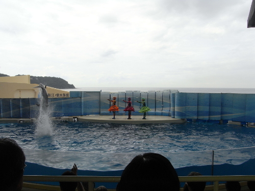 enoshima1_20130914.jpg