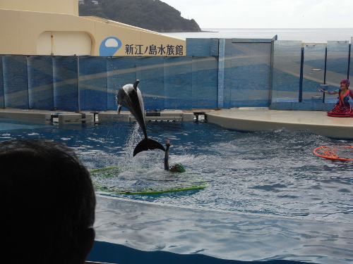 enoshima2_20130914.jpg