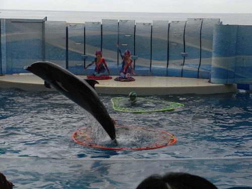 enoshima3_20130914.jpg