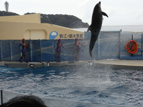 enoshima4_20130914.jpg