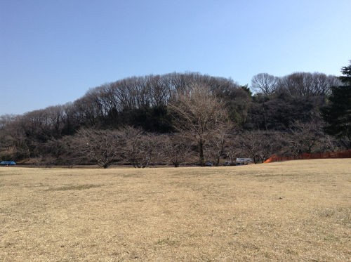 kodomo_20130223_1.jpg
